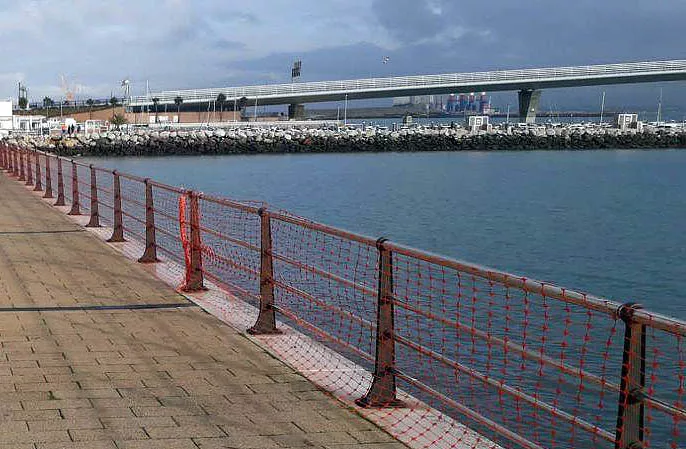 noticias cadiz piojito_5.jpg