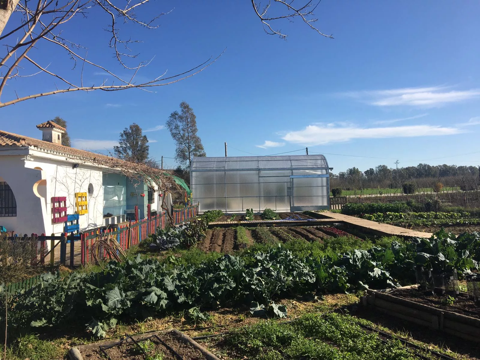 noticias cadiz casa colores.jpg