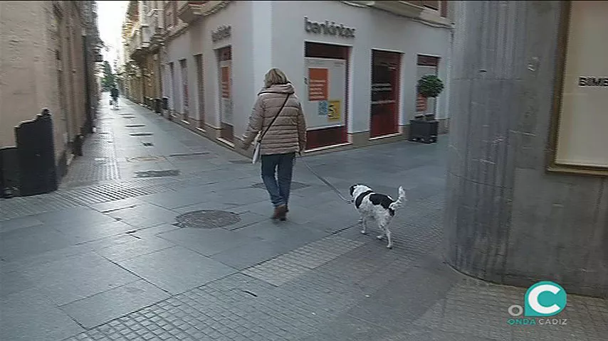 noticias cadiz paseando al perro.jpg