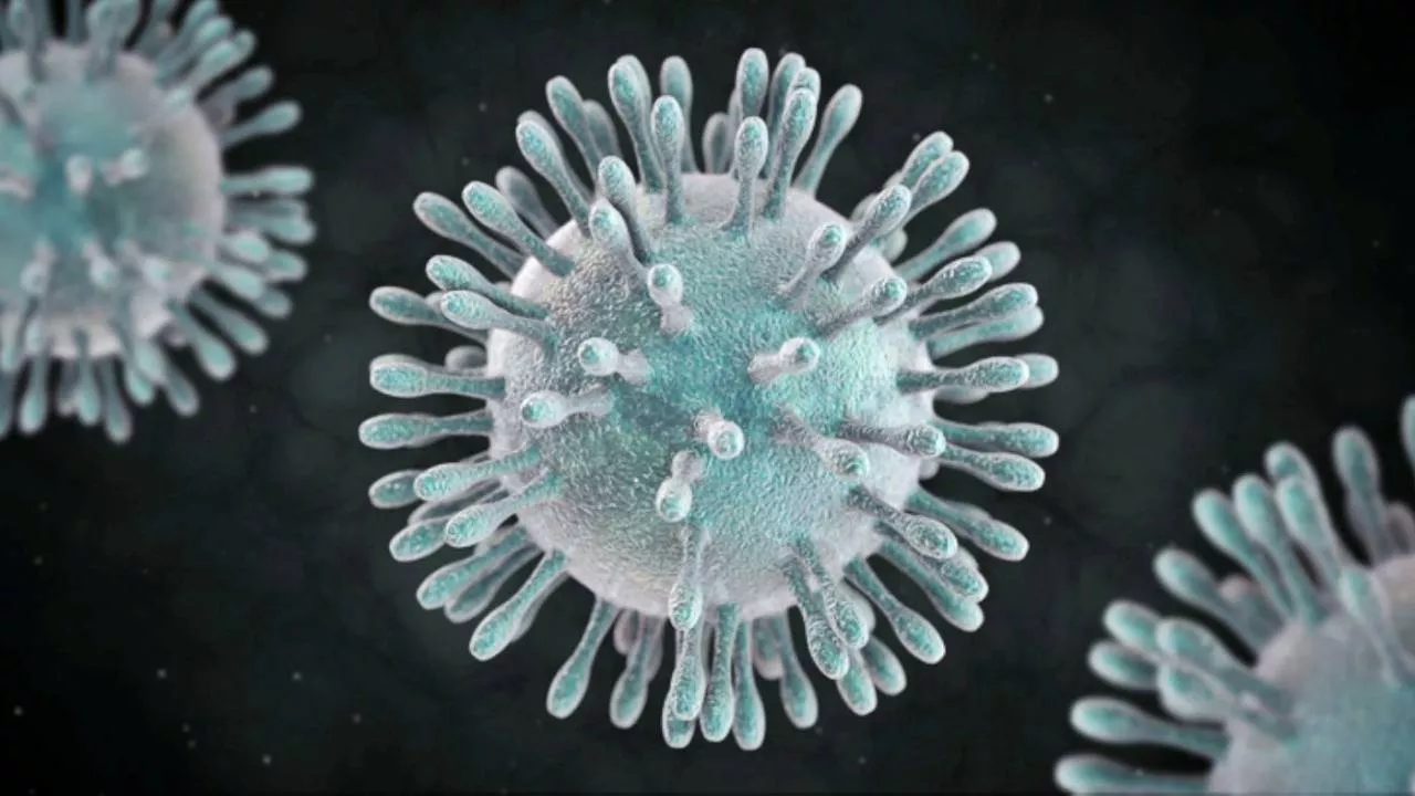 Coronavirus-161.jpg