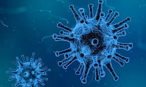 noticias cadiz virus.jpg