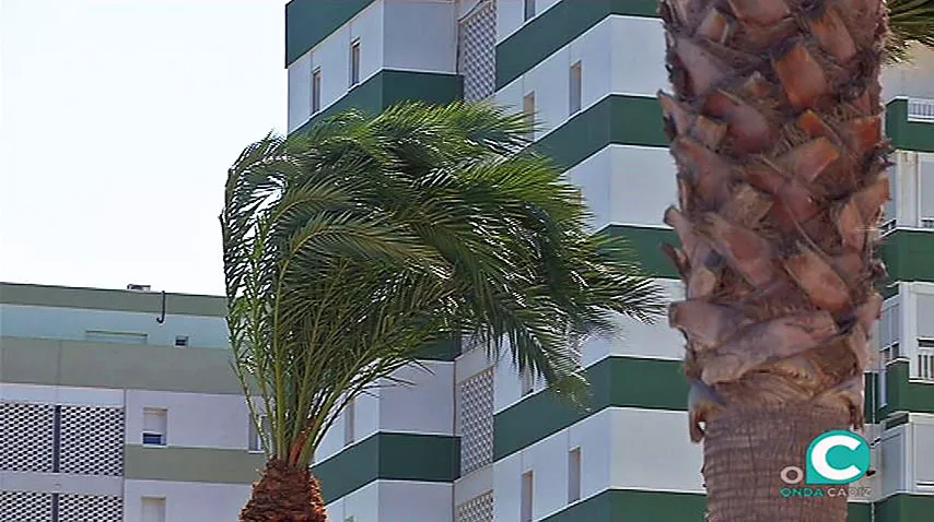 noticias cadiz levante1_0_0_0.jpg