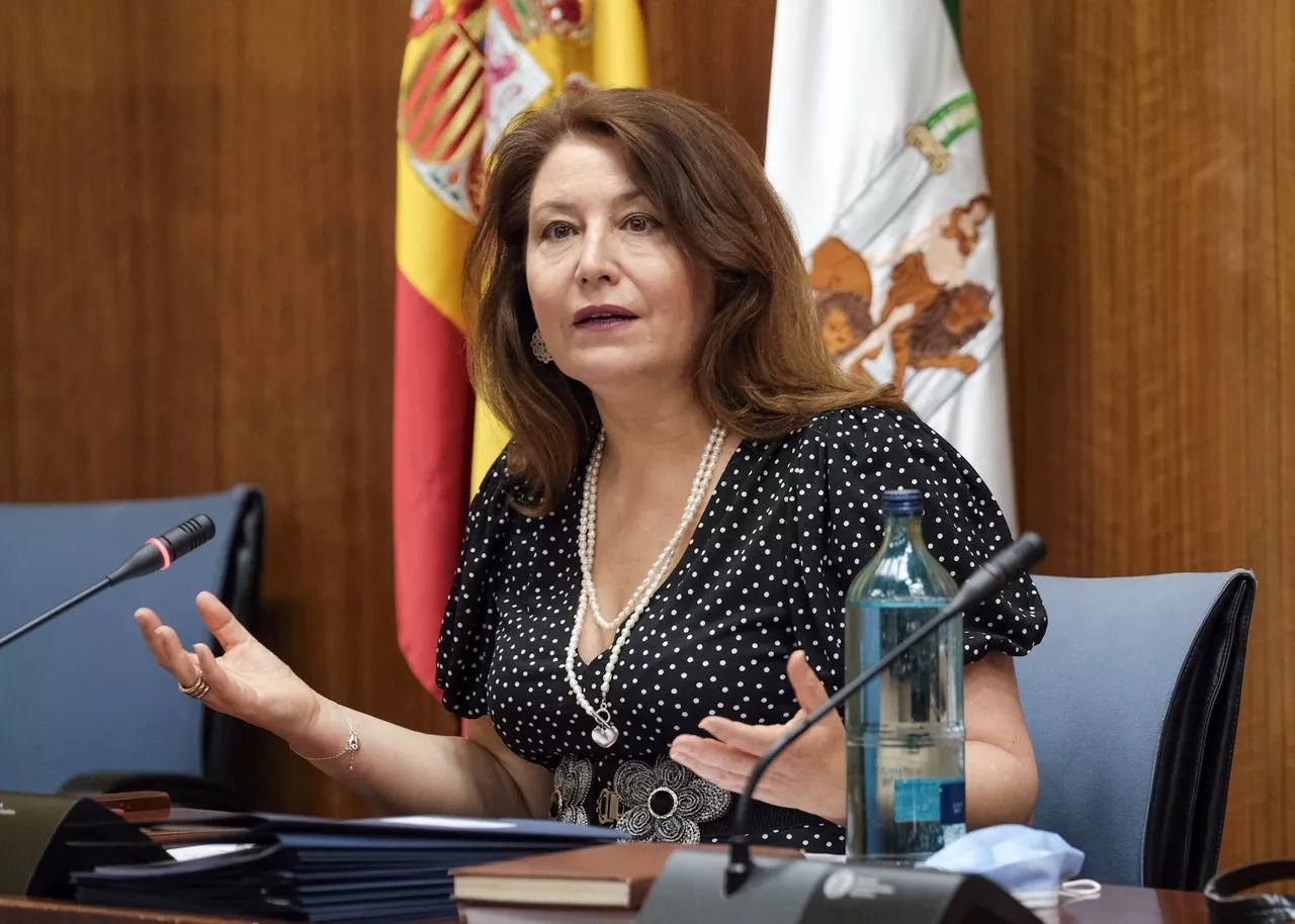 200624_Parlamento comisión 9.jpeg