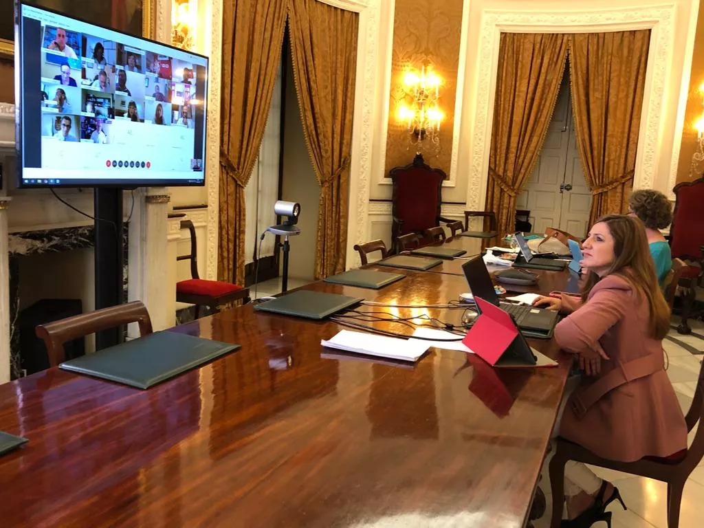 Irene García en el Pleno.JPG