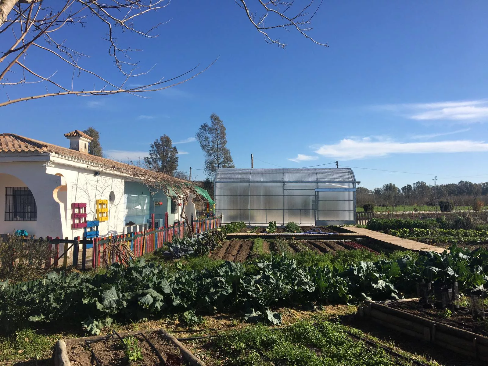 La Casa de los Colores.jpg