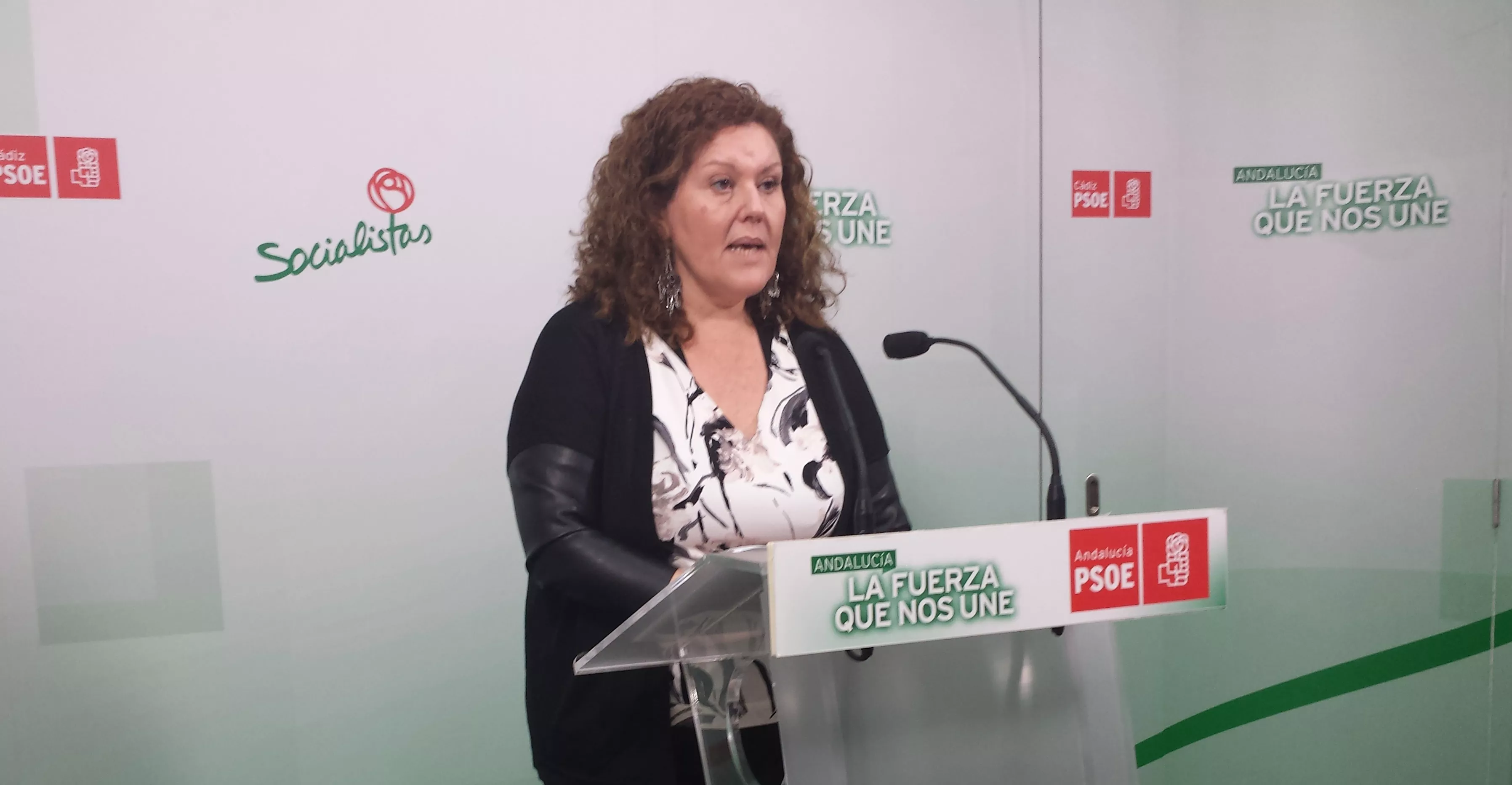 noticias cadiz araceli maese ok_1.jpg