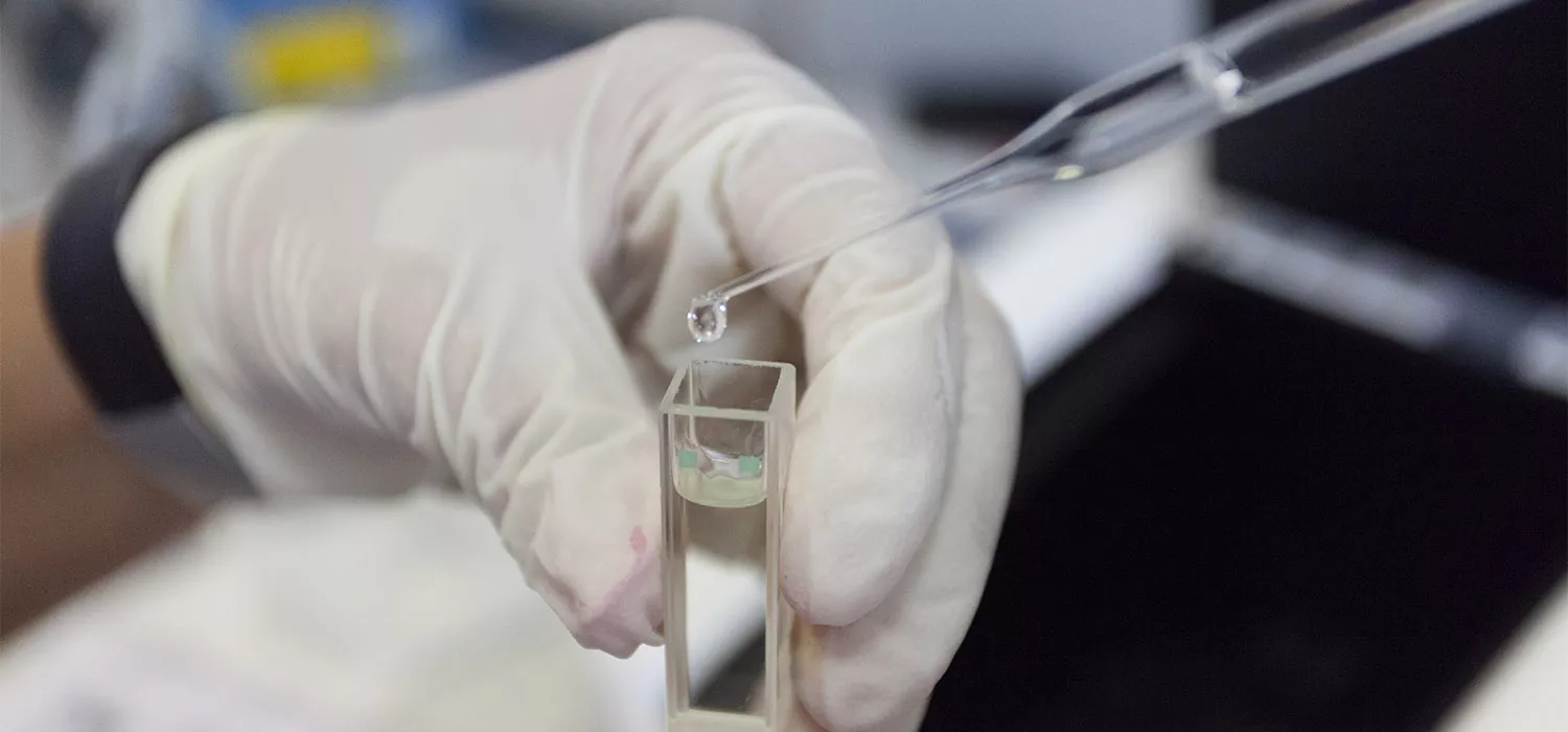 Universidad de Cádiz_0.jpg