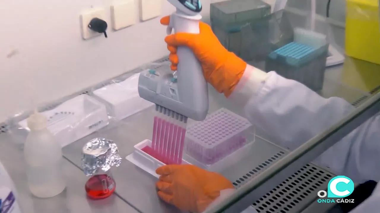 CASOS CADIZ_2.1.2.jpg