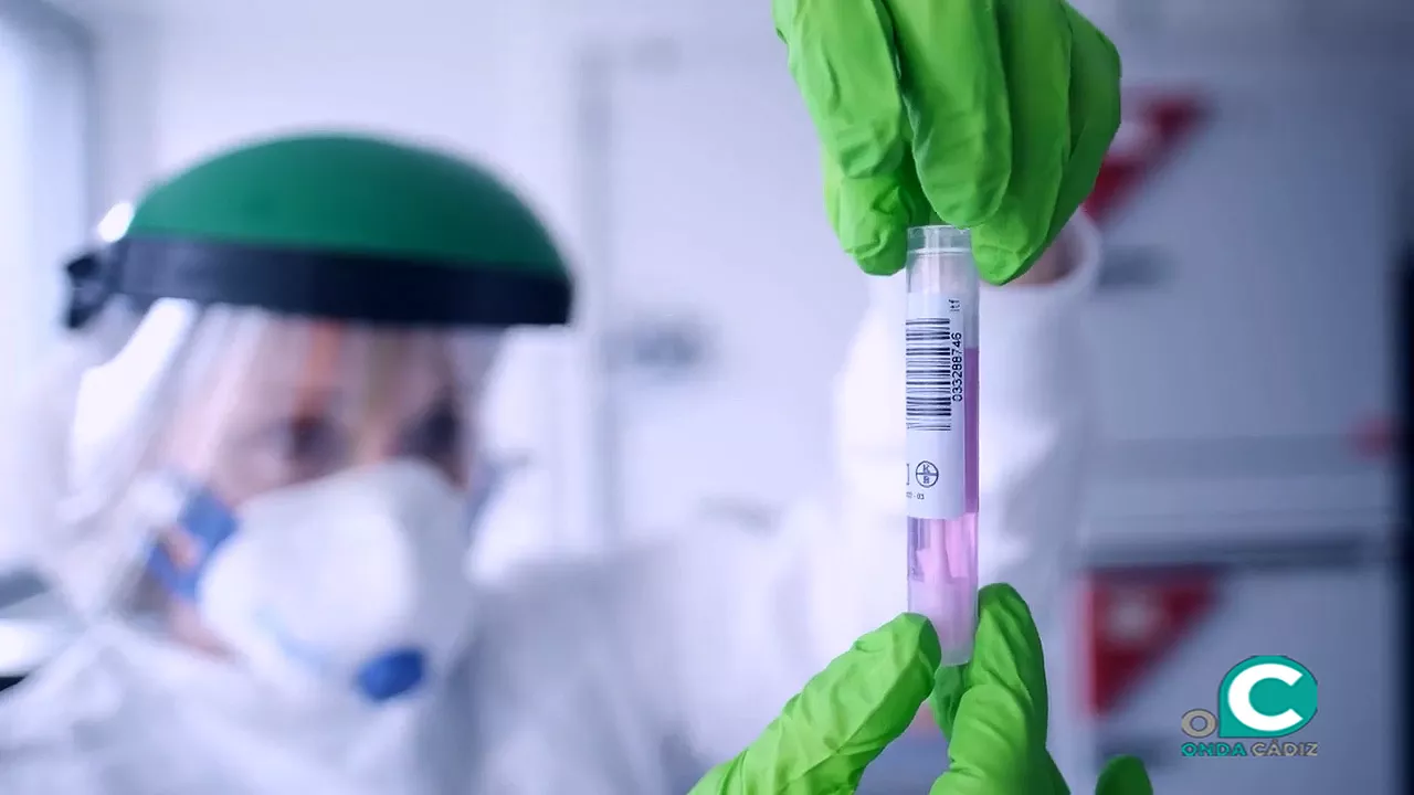 foto datos cadiz_2.1.1_0.jpg