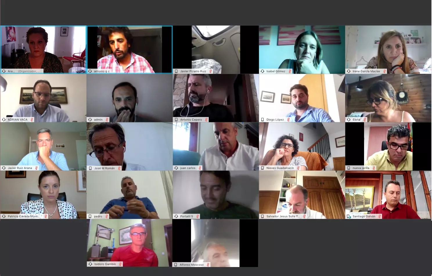 Reunión telemática alcaldes y alcaldesas socialistas.jpg