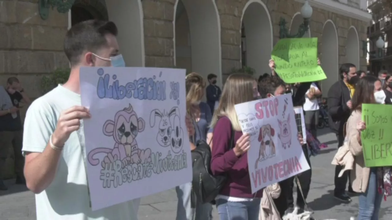 Piden a la modificación de Ley para que los animales sean tratados como seres sintientes 