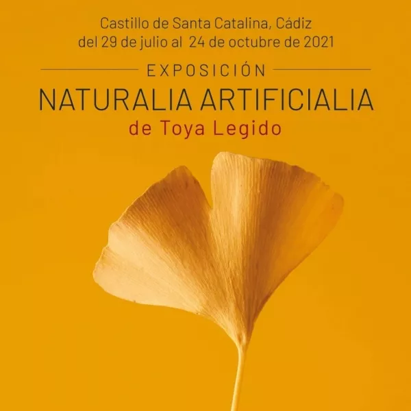 La naturaleza es la protagonista de la muestra