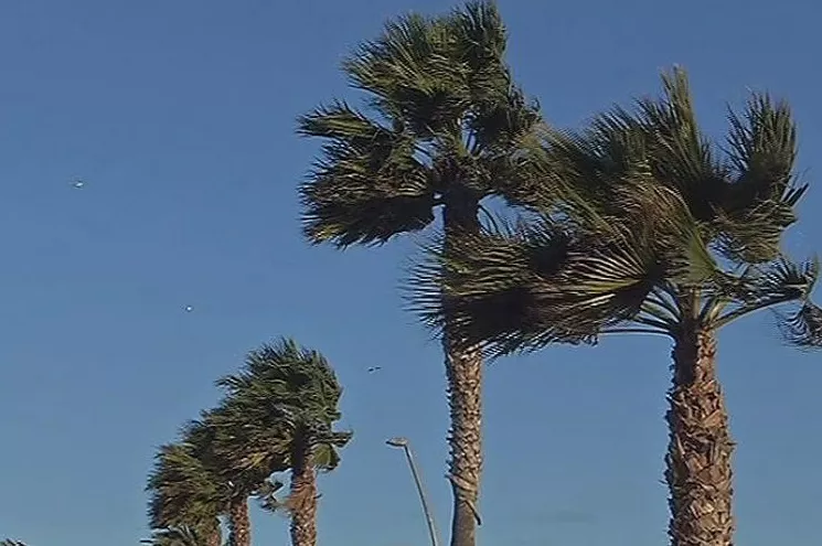 La Aemet activa aviso amarillo este domingo por fuertes vientos y fenómenos costeros en la costa gaditana.