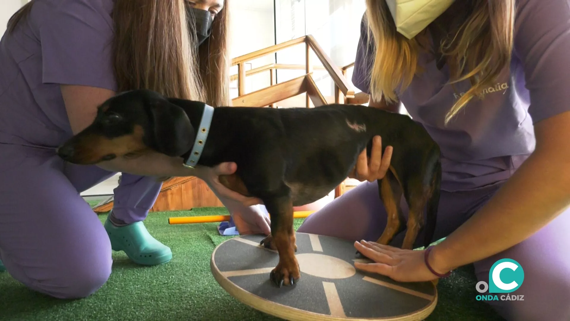 Una de las pacientes, Maggie, recuperándose de su operación de hernia discal