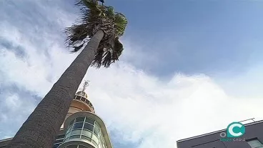 Cádiz en alerta naranja