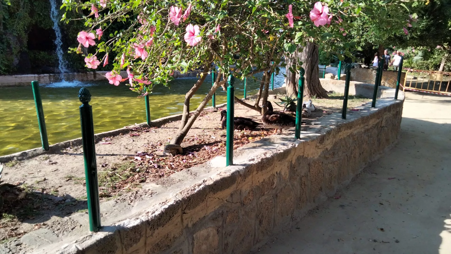 Mejoras Parque Genovés