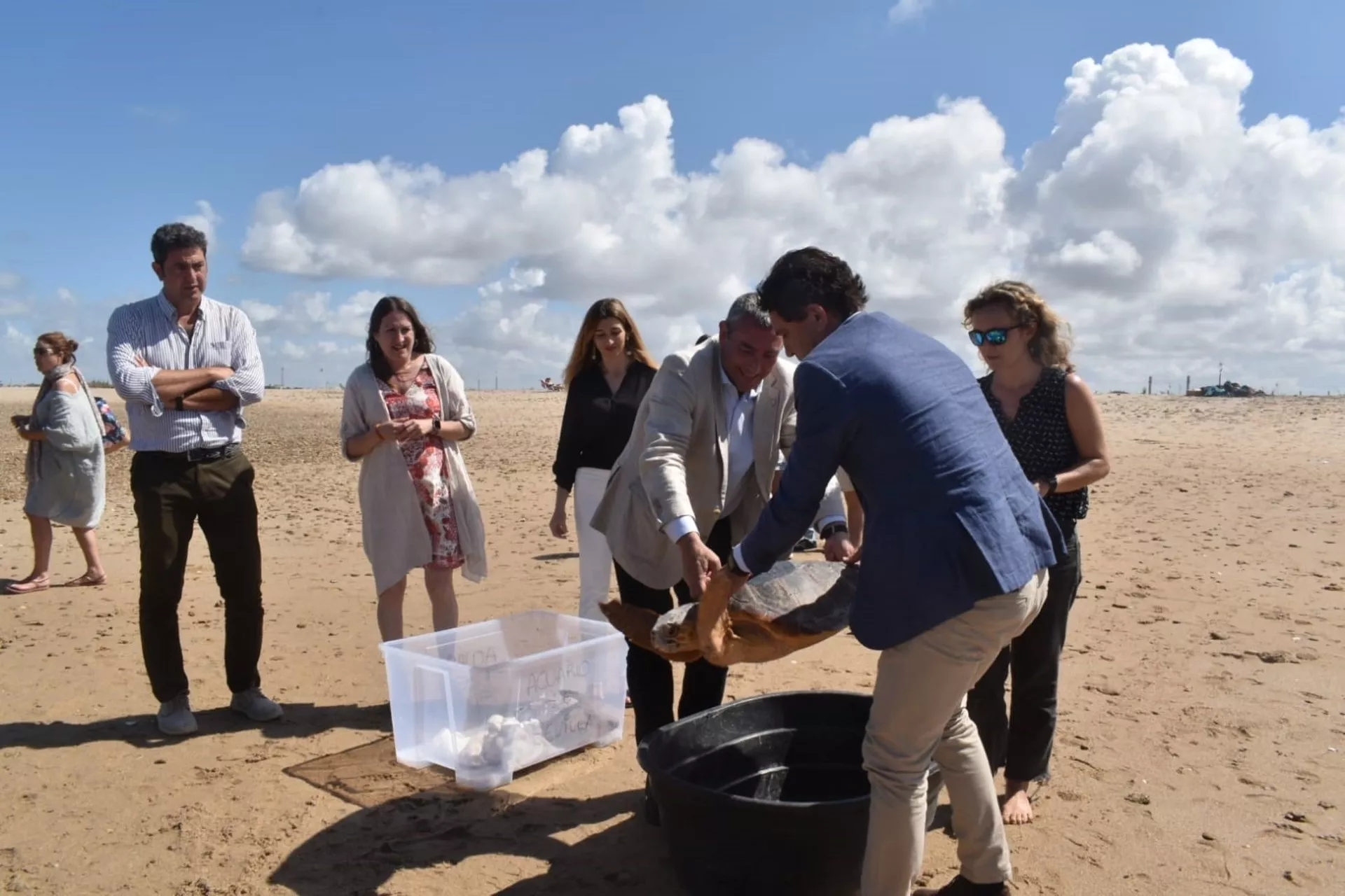 Liberadas dos tortugas marinas en la playa de Camposoto rescatadas por SOS Caretta.