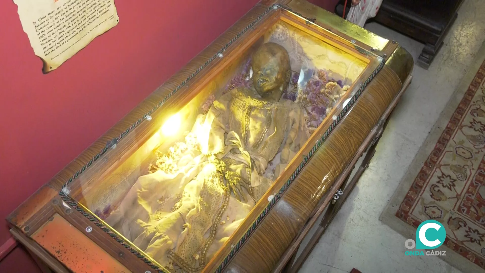 Una de las criaturas que los visitantes podrán ver en el pequeño museo de la Casa del Terror