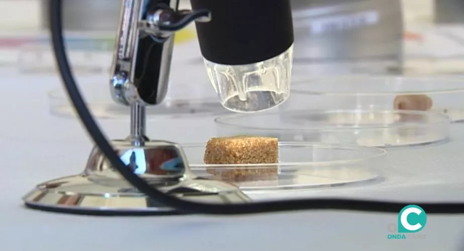 Las universidades públicas andaluzas suman 157 solicitudes de patentes internacionales 