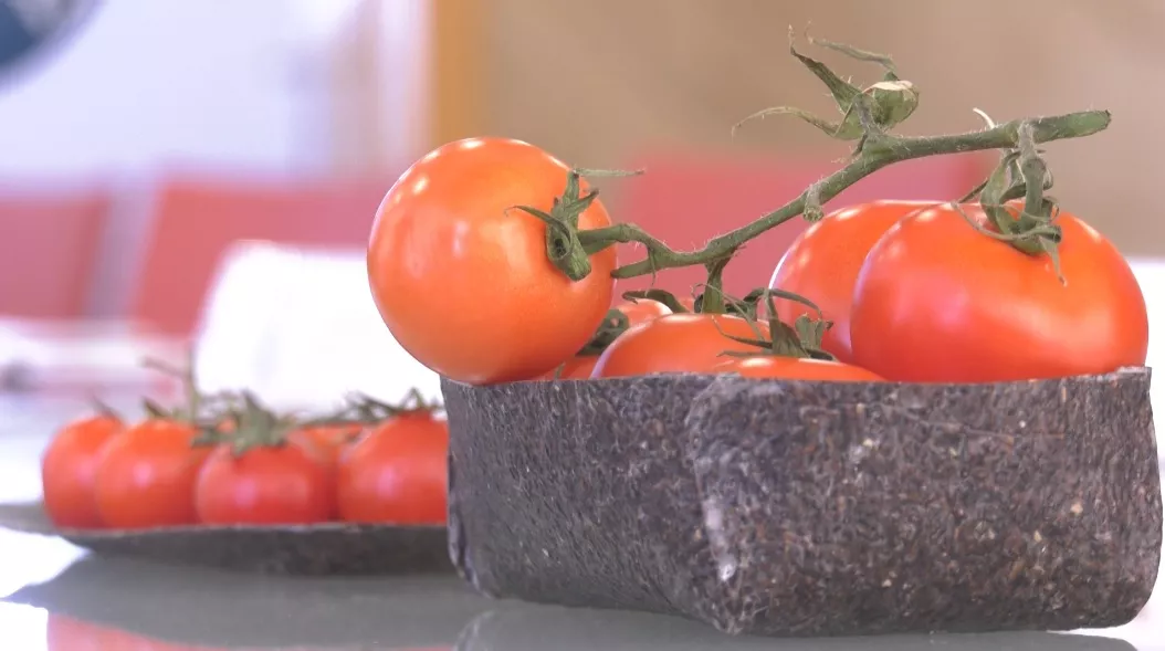 Las algas invasoras se convierten en bandejas para productos de la huerta.