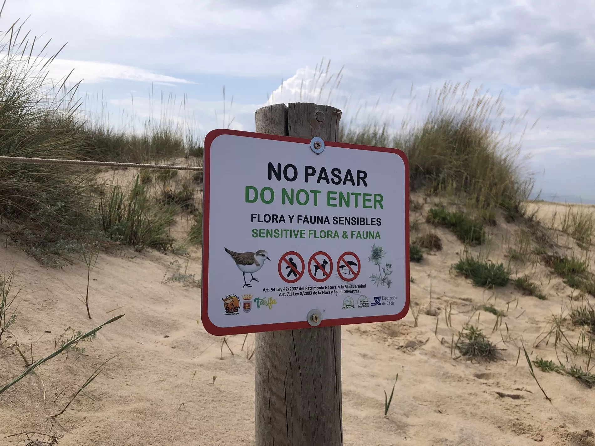 CArtel de balizamiento por presencia de chorlitejos