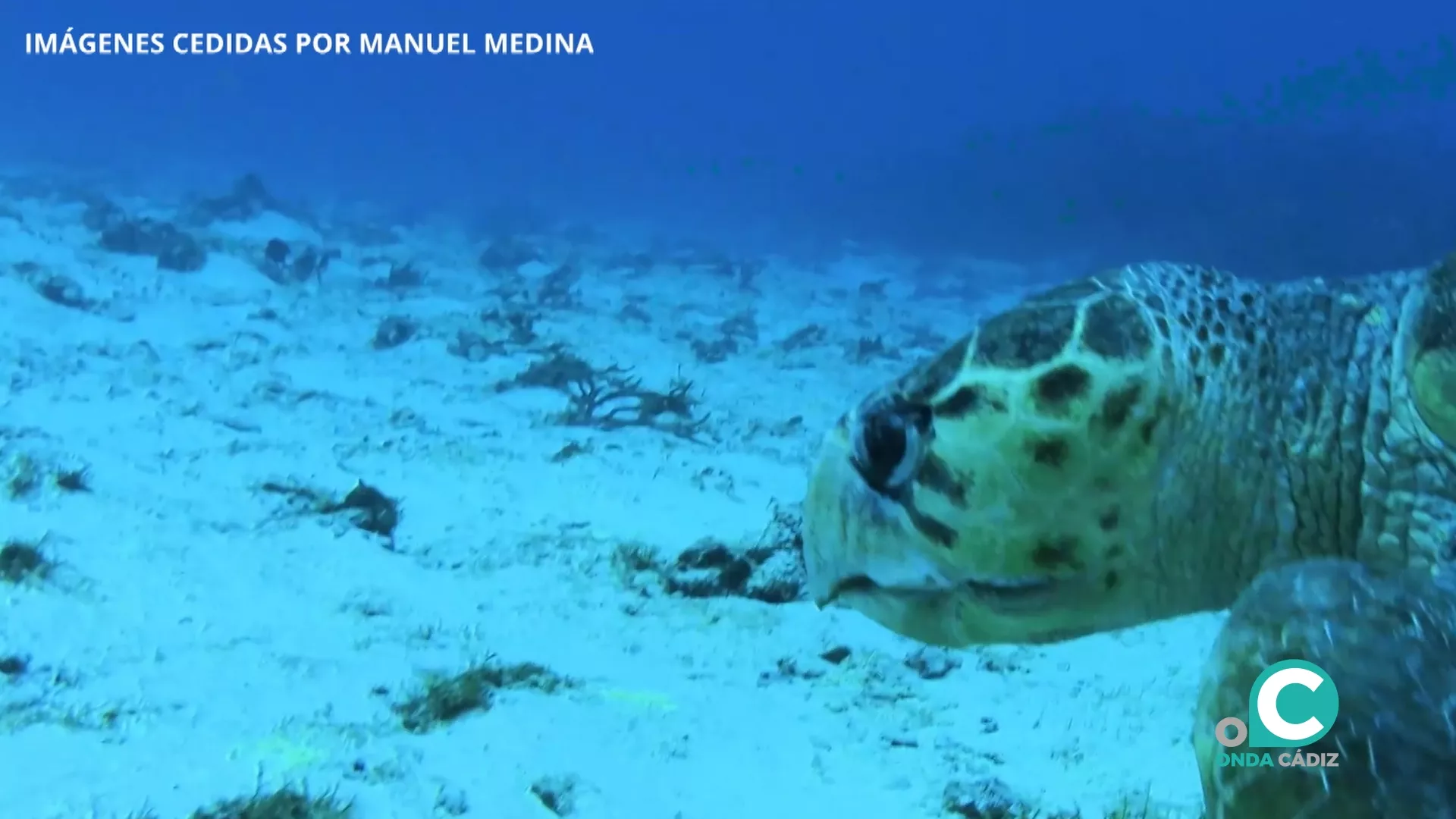 Las Naciones Unidas exigen acciones inmediatas