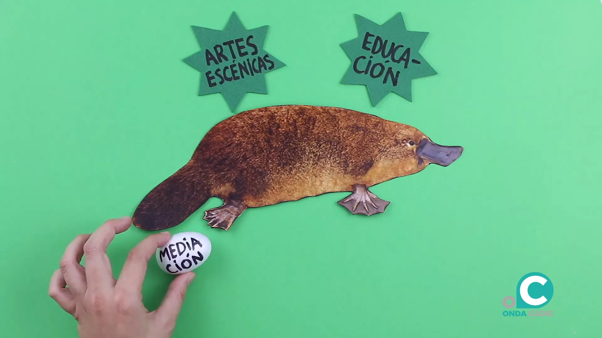 Campaña 'Proyecto Ornitorrinco'.