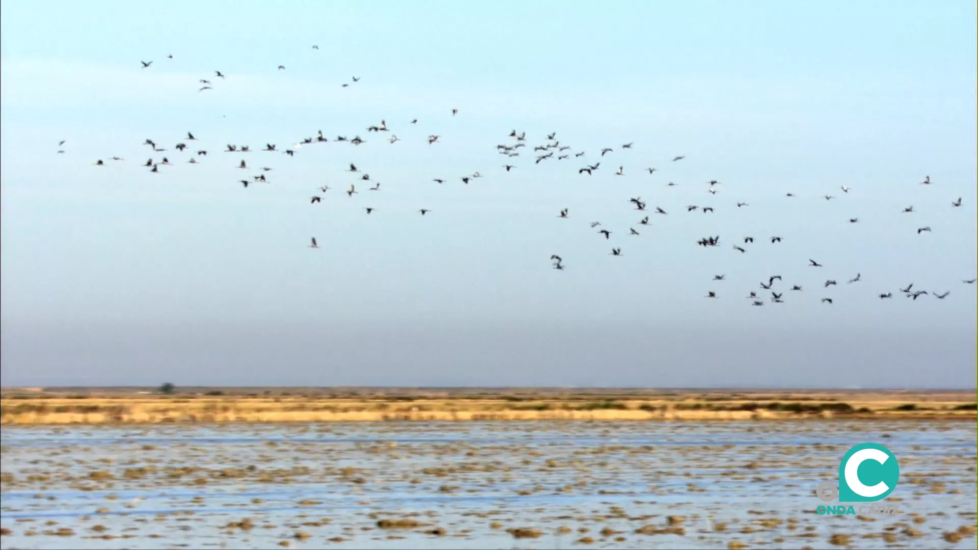 Parque Nacional de Doñana.