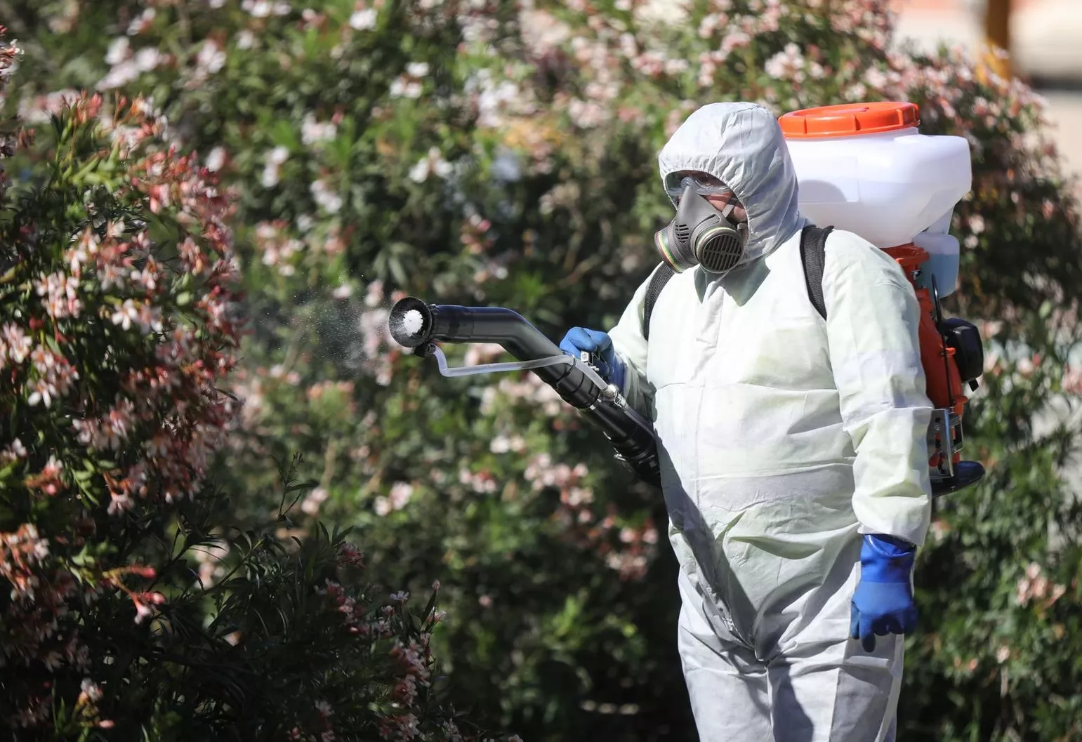 Un operario inicia las labores de fumigación en un parque de la ciudad