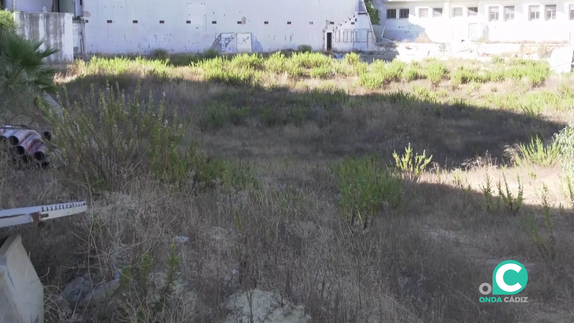 Los terrenos donde se proyecta la futura Ciudad Administrativa de Cádiz