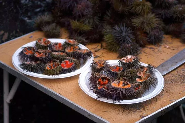 El erizo es uno de los productos más icónicos de la fiesta