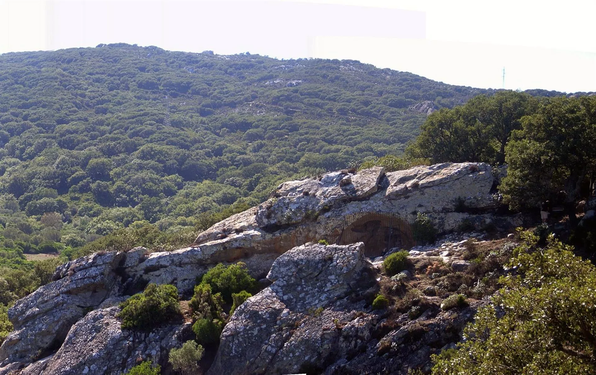 El entorno de la zona del campo de Gibraltar donde se adscribe el yacimiento