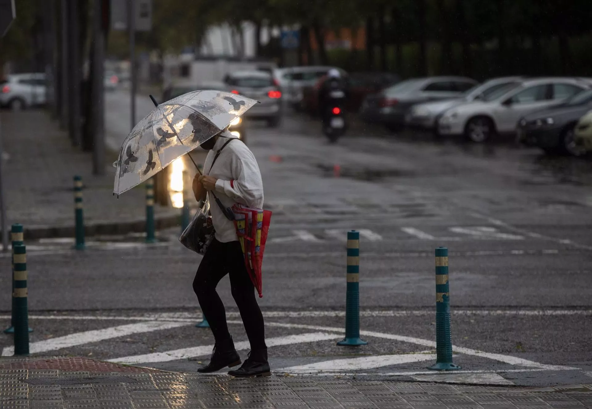 Una mujer camina protegida de la lluvia con un paraguas.