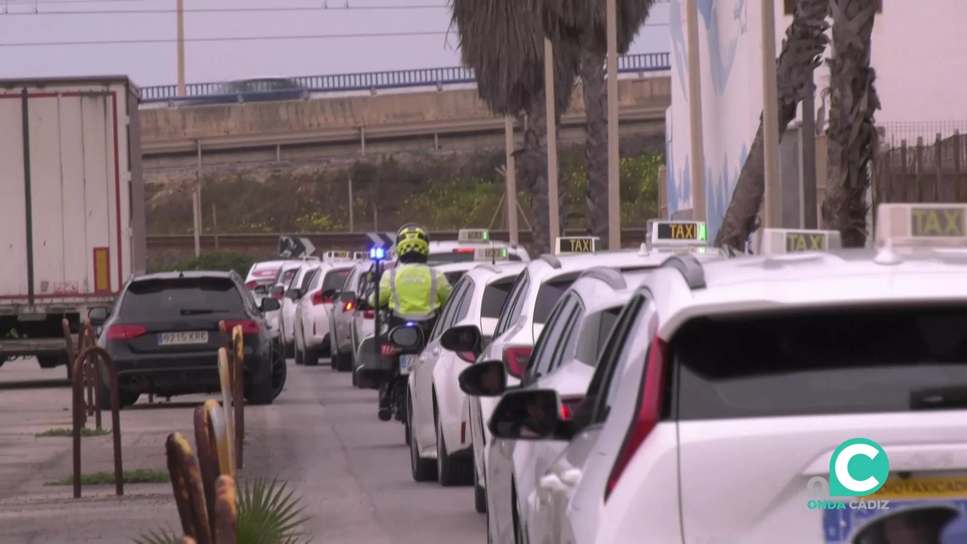 La marcha de protesta del colectivo partió desde la Zona Franca hasta la Avenida