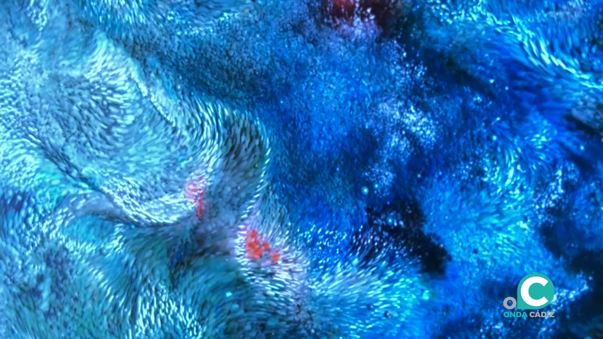 'El paisaje sumergido'