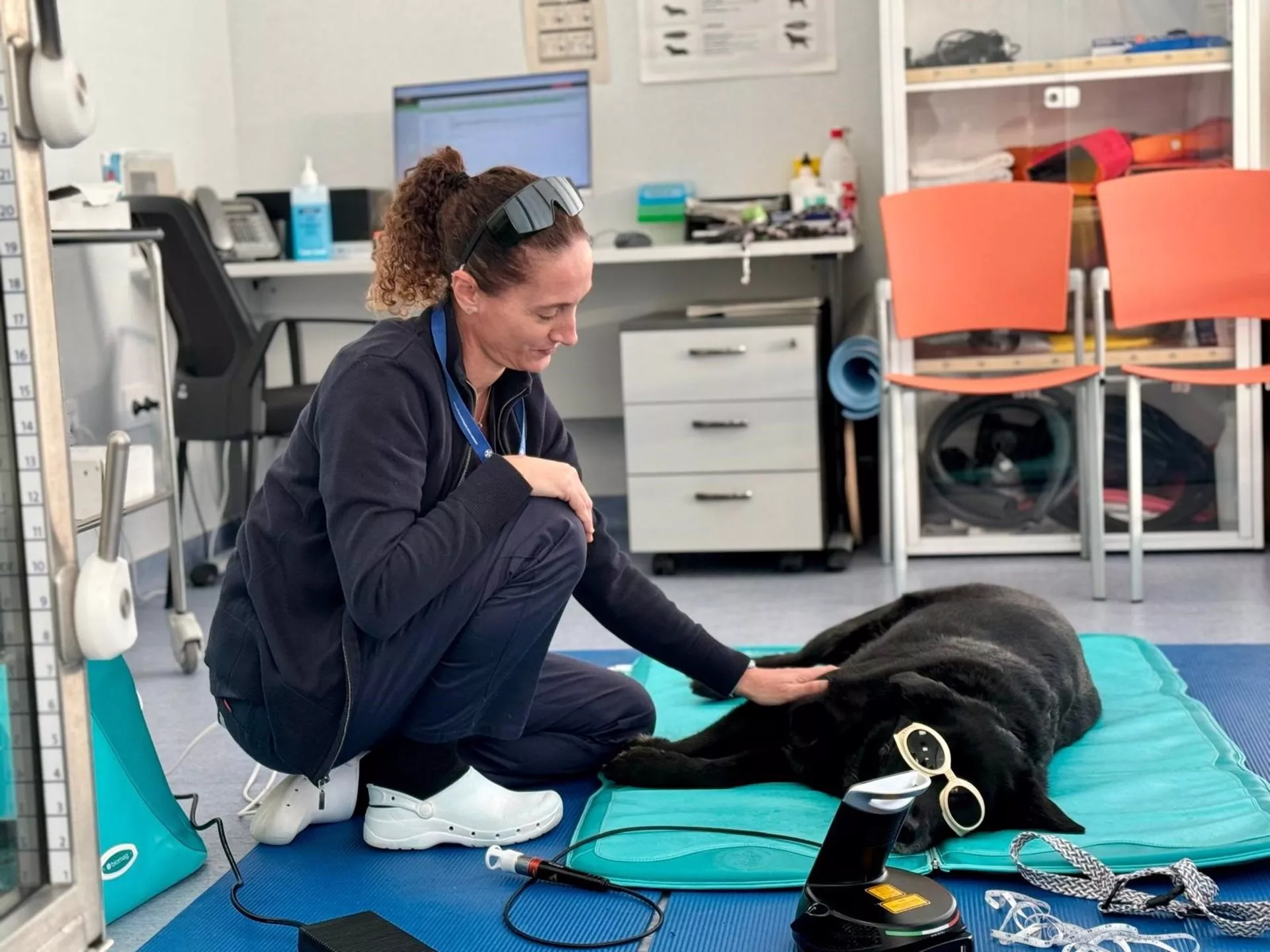 Consulta de un veterinario en una imagen de archivo