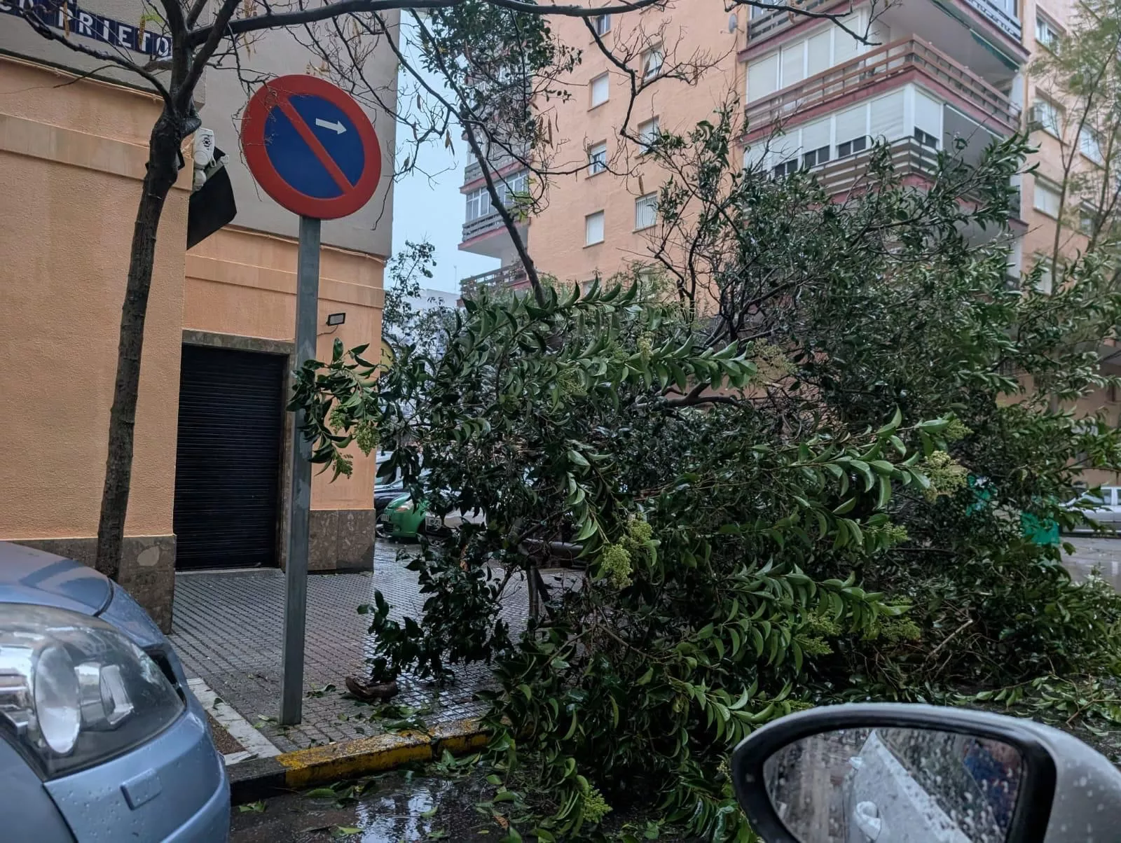 Las lluvias y el fuerte viento de las últimas horas han provocado algunas incidencias en la ciudad.