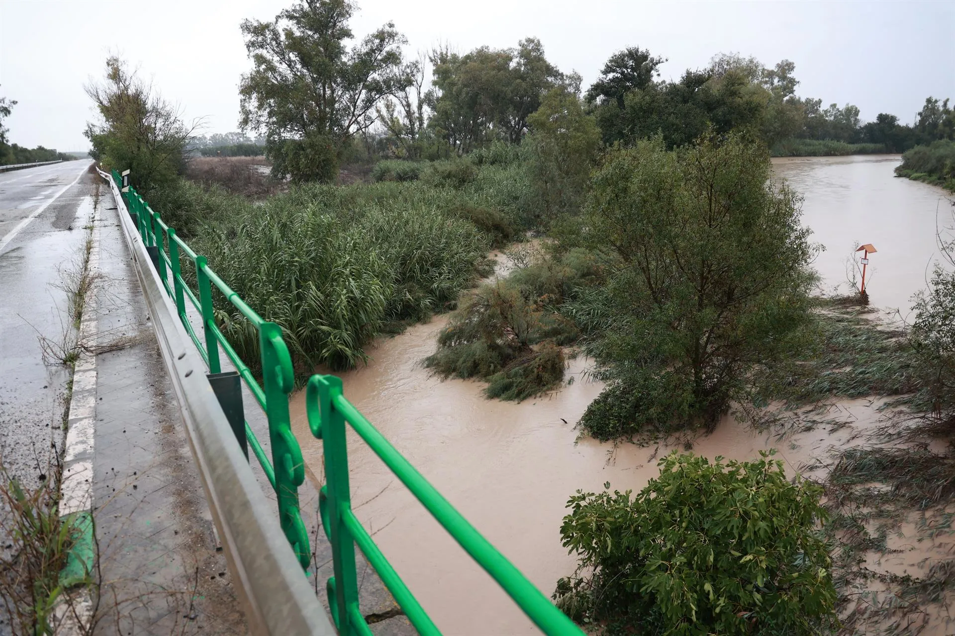 Inmediaciones de la carretera A-394 en Arahal anegadas por la lluvia en una imagen de archivo.