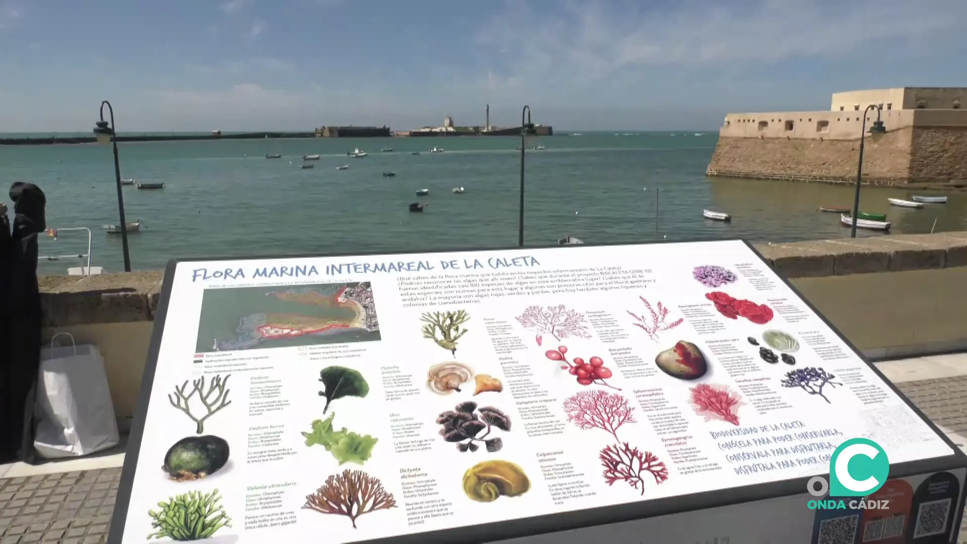 El emblemático espacio de la capital gaditana cuenta esta referencia informativa para el público 