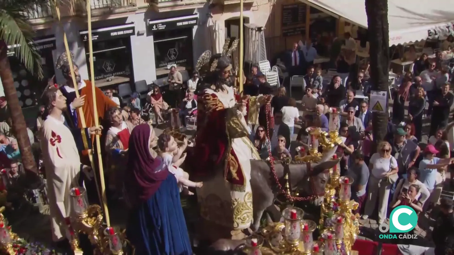 Paso de la Borriquita por la plaza de la Catedral 