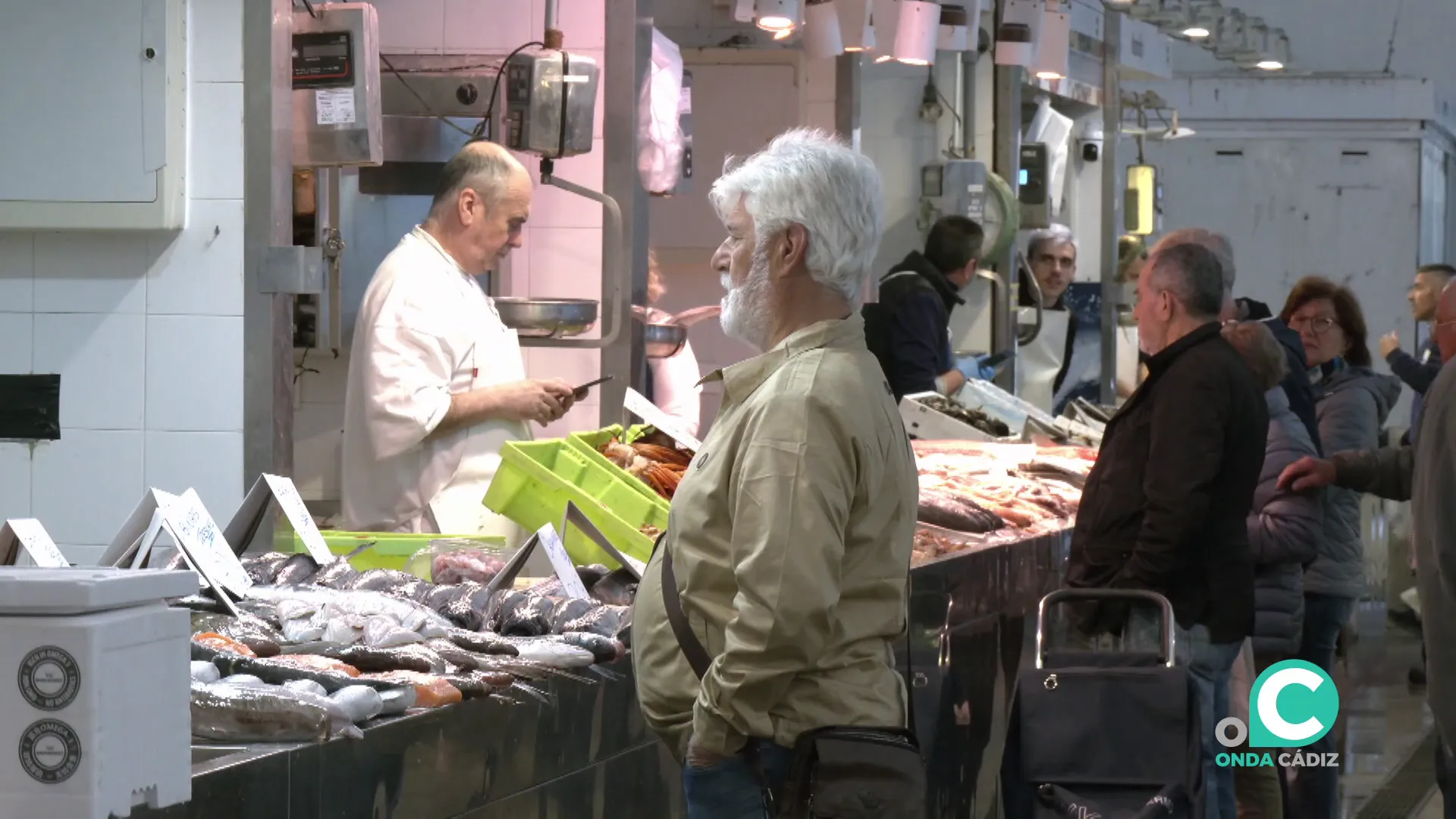 Clientes junto a los distintos puestos de pescadería en el mercado central este martes