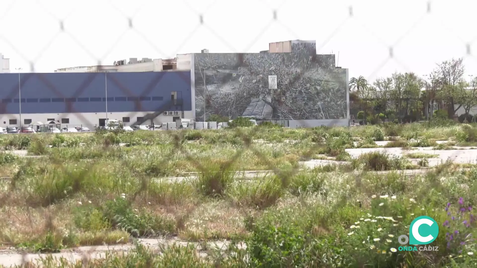 Imagen de los terrenos proyectados para el nuevo equipamiento