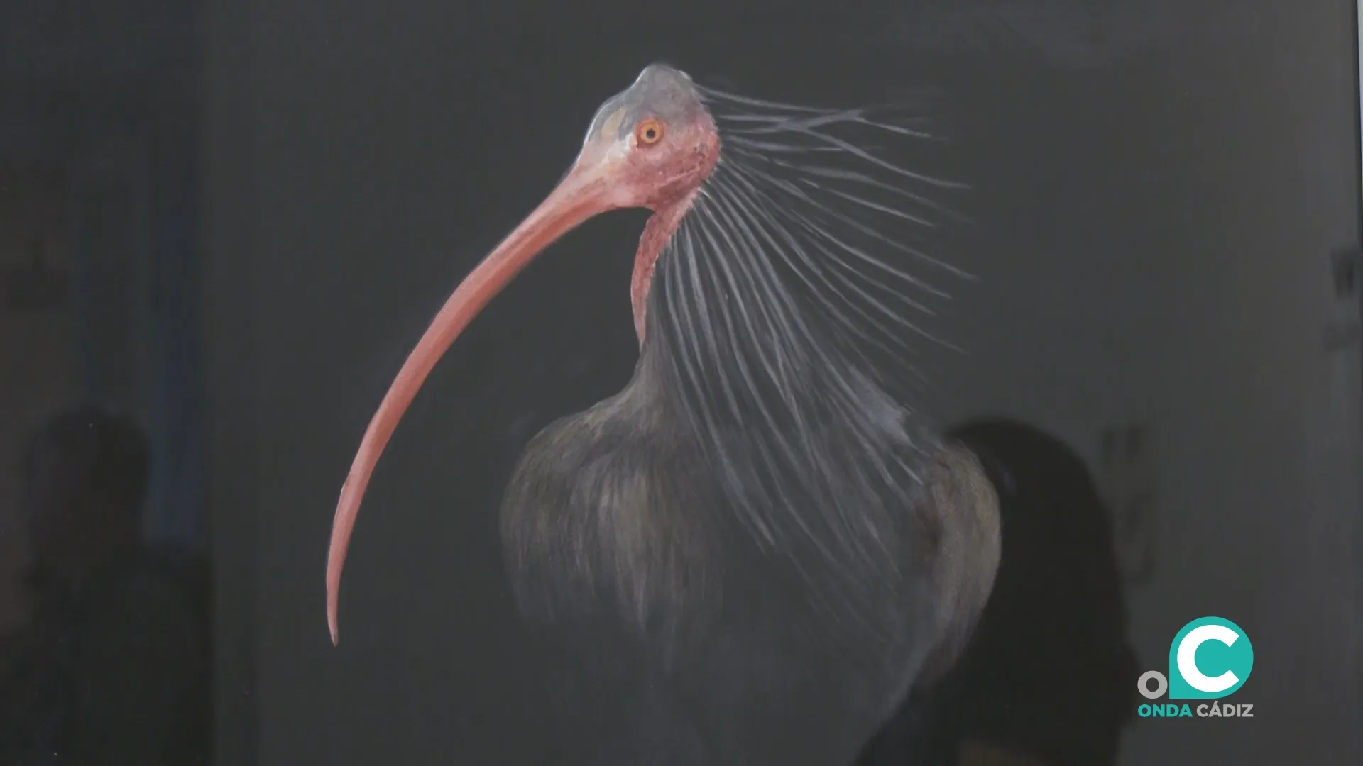 La obra de Pedro Fernández-Pujol, 'BeShow', explora el límite entre lo animal y lo humano. 