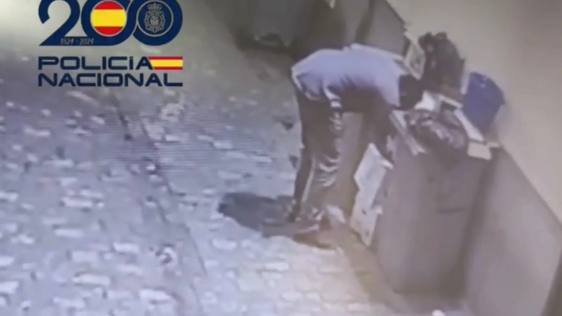 Los hechos investigados consisten en la quema intencionada de vehículos, motocicletas y diverso mobiliario urbano.