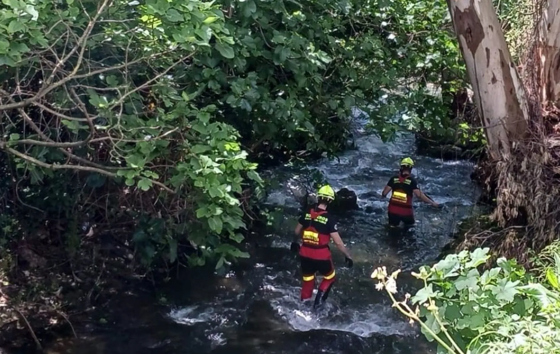 Un momento del rastreo que se ha efectuado cerca de la localidad serrana