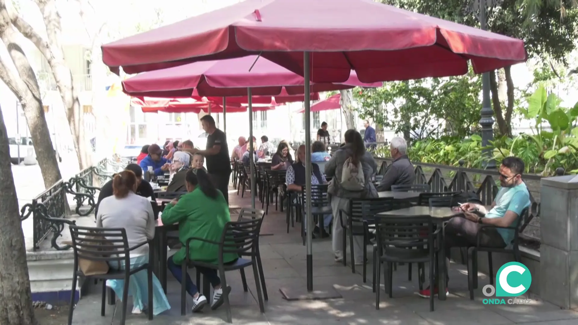 Terraza en una plaza de la capital gaditana