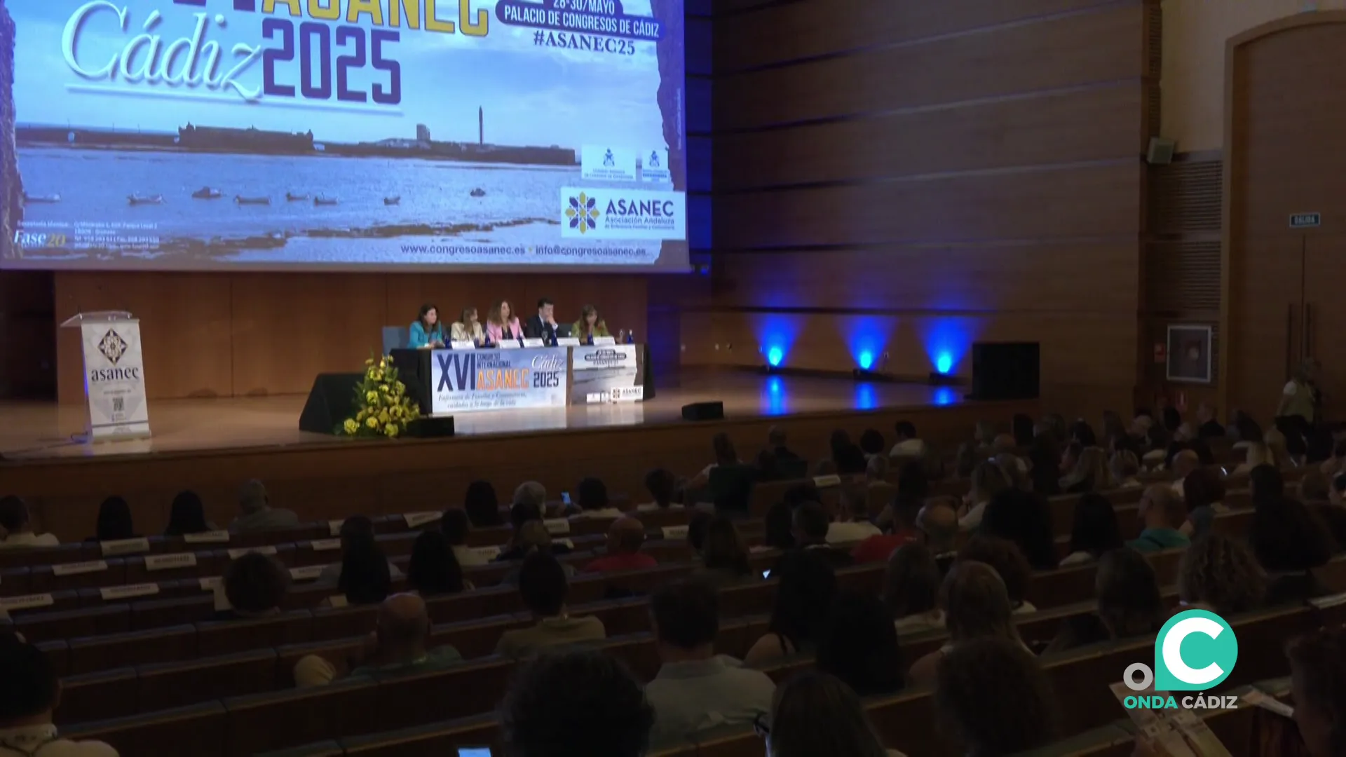 Una de las sesiones celebradas en el Palacio de Congresos de la capital gaditana