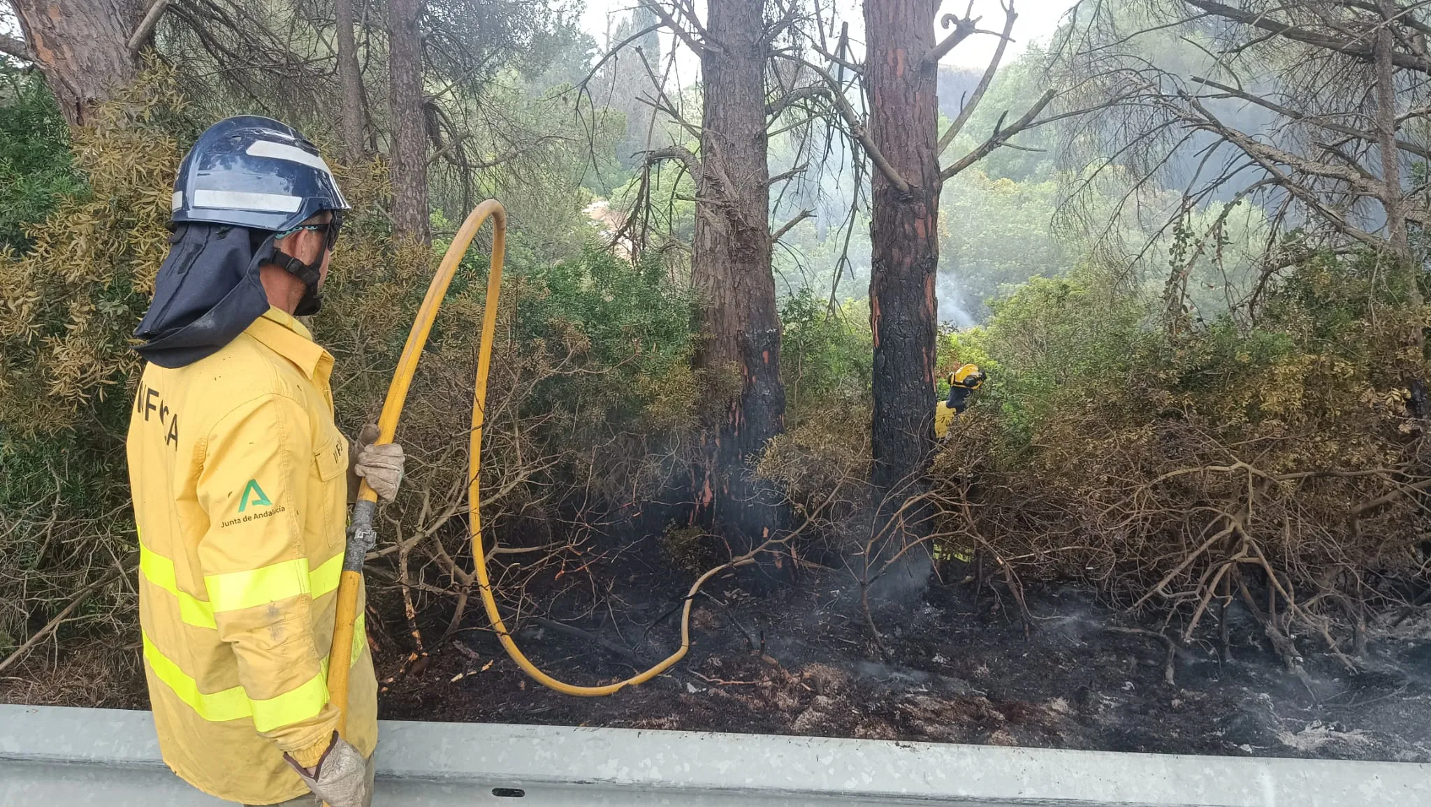 Bomberos de Cádiz trabajan en las labores de extinción del fuego. 