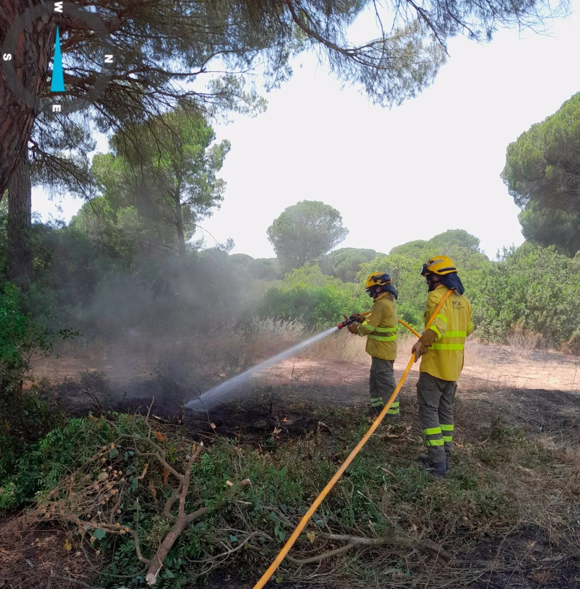 Efectivos del Plan Infoca actuando en el incendio declarado en Puerto Real el lunes 9 de junio.