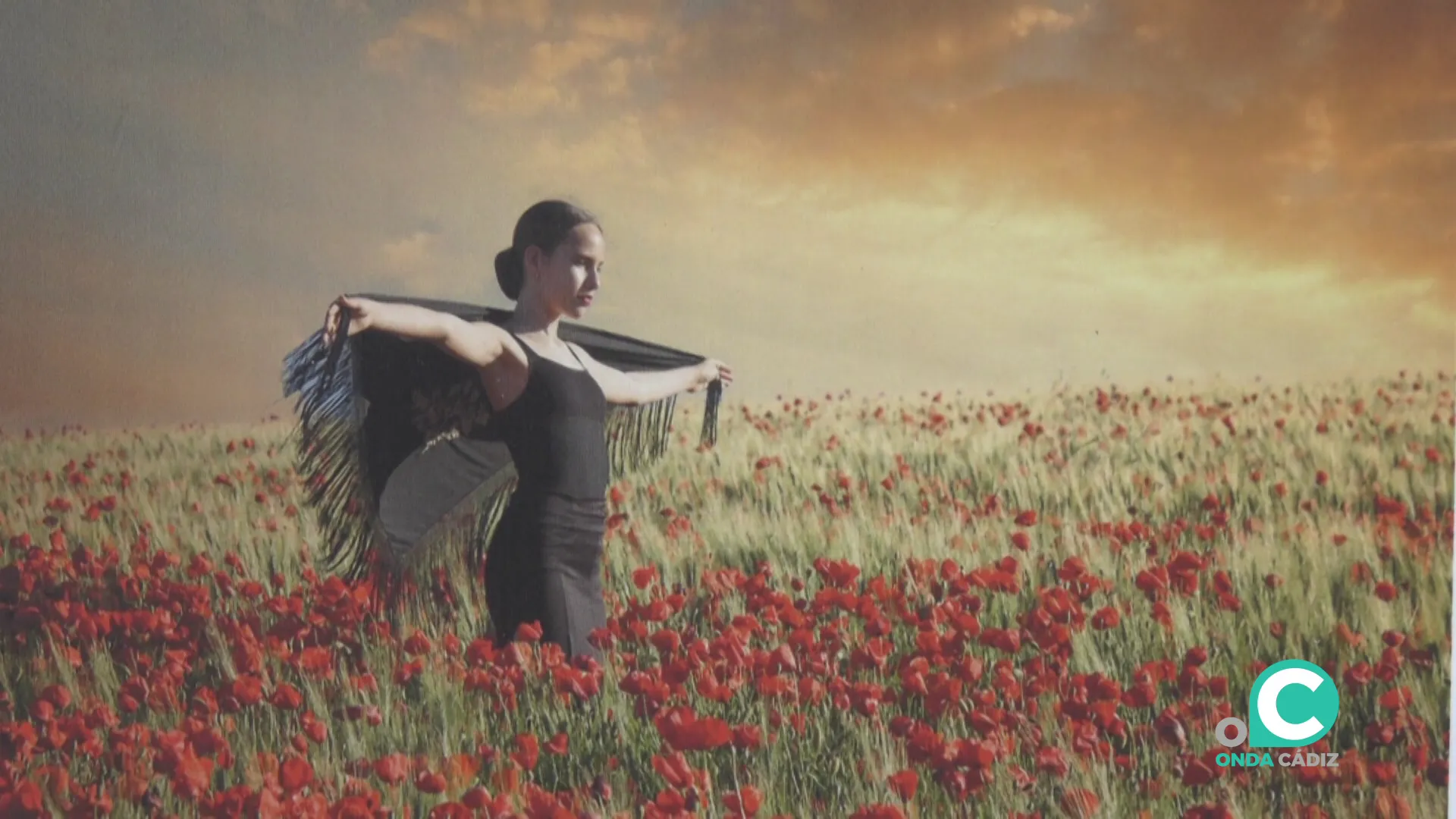 Las imágenes actúan como reductos de reflexión y mirada crítica.